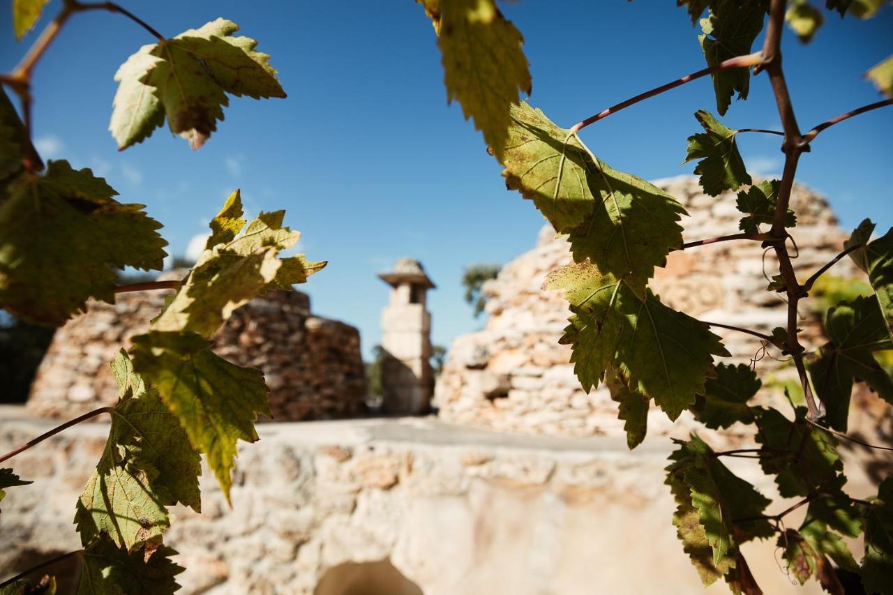 Trulli Dell'Angelo Βίλα Specchiolla Εξωτερικό φωτογραφία