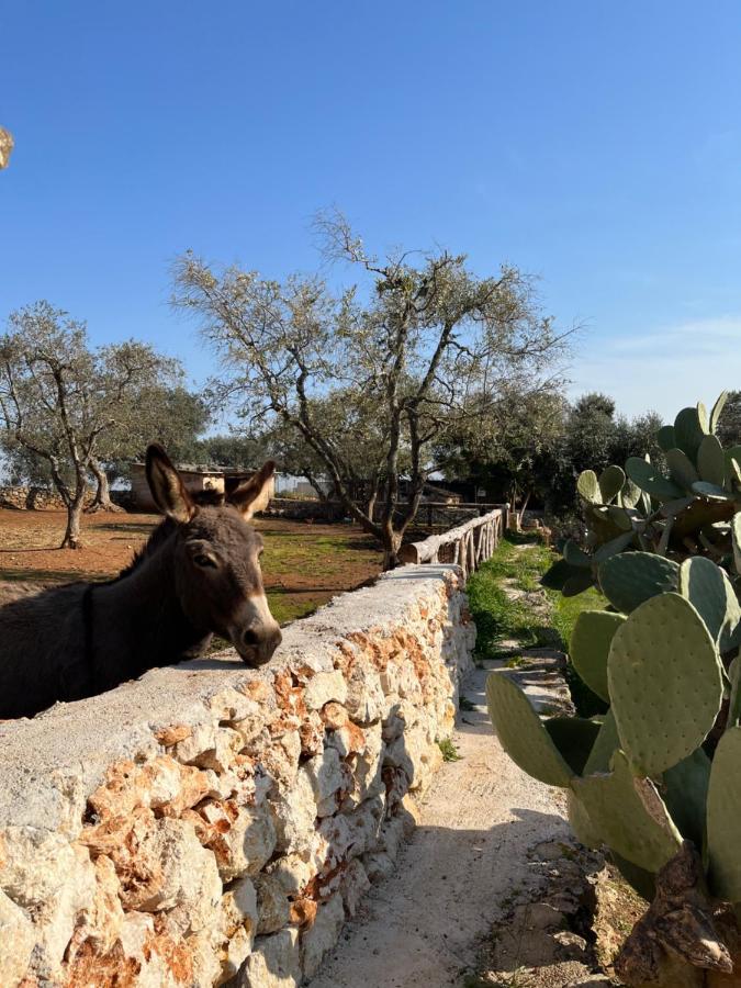 Trulli Dell'Angelo Βίλα Specchiolla Εξωτερικό φωτογραφία